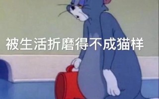男友撑腰沙雕文案，男友撑腰沙雕文案怎么写