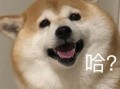 旅游照沙雕文案，旅游照沙雕文案搞笑
