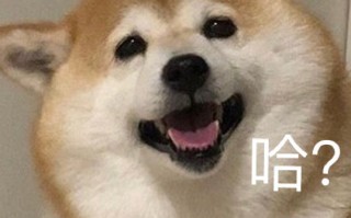 旅游照沙雕文案，旅游照沙雕文案搞笑