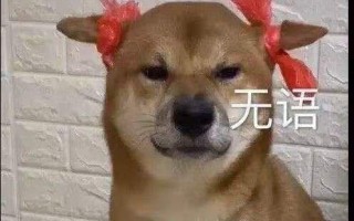 贪吃狗狗沙雕文案，贪吃狗狗沙雕文案短句