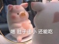 文案沙雕撩人，文案沙雕撩人短句
