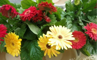 花团锦簇的簇是什么意思，花团锦簇的簇是什么意思？