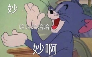 麻烦先生文案沙雕，麻烦先生文案沙雕句子