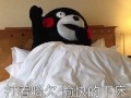 恶搞起床视频，恶搞起床视频大全
