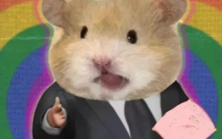 熬夜搞笑文案沙雕文案，熬夜搞笑文案沙雕文案图片