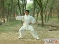 陈式太极拳老架二路，陈式太极拳老架二路陈正雷