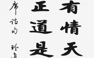 天若有情天亦老下句，天若有情天亦老下句谁接的最好