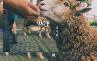 男子吃饭被恶搞视频下载，男子吃饭被恶搞视频下载网站
