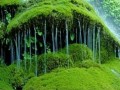 十堰九龙瀑游玩攻略，十堰九龙瀑游玩攻略图