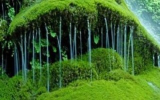十堰九龙瀑游玩攻略，十堰九龙瀑游玩攻略图