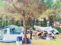 曹县户外游玩攻略，曹县有哪些好玩的